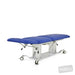 evo2_treatment_table_three_section_flat.jpg