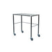 stainless_steel_table_large_1.jpg
