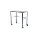 stainless_steel_table_small_1.jpg