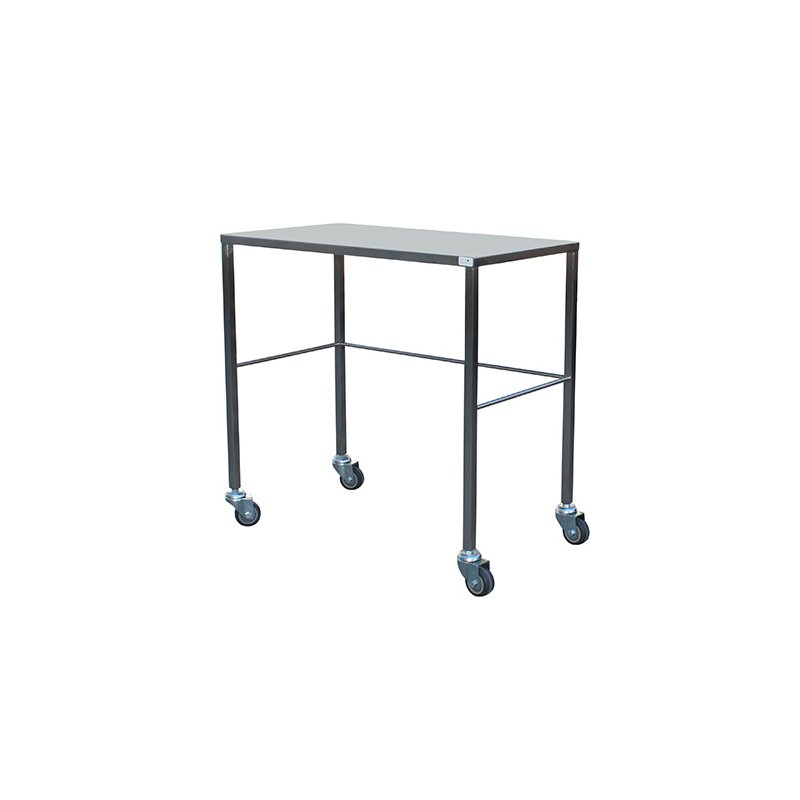 stainless_steel_table_small_1.jpg