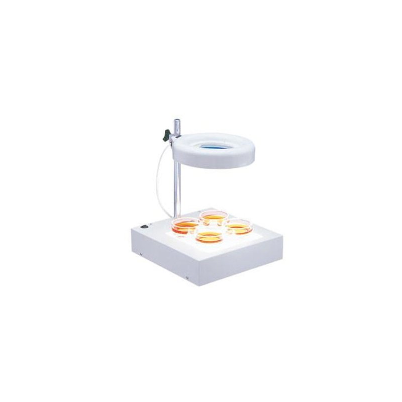 twin_tube_maggylamp_led_ml204led.jpg